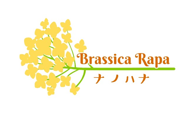 Brassica Rapa